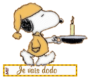 gifs bonne  nuit