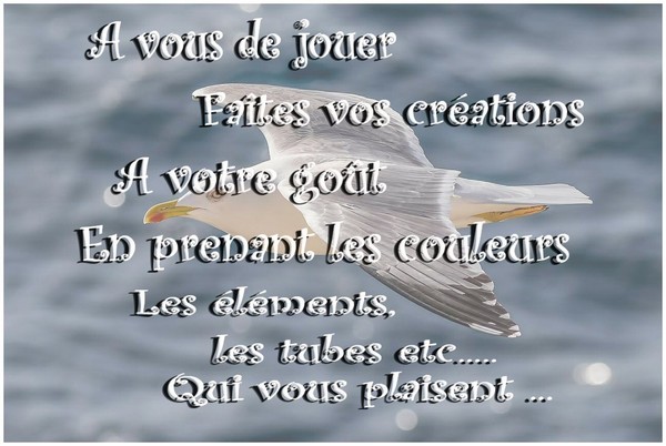 PAS A PAS 
