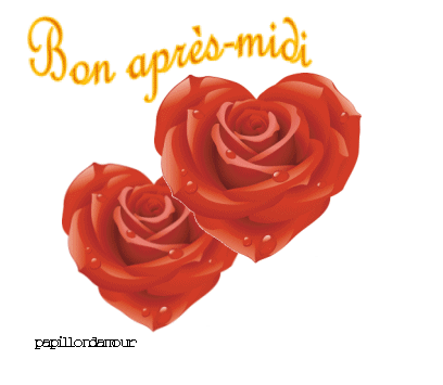 Résultat de recherche d'images pour "après midi roses"