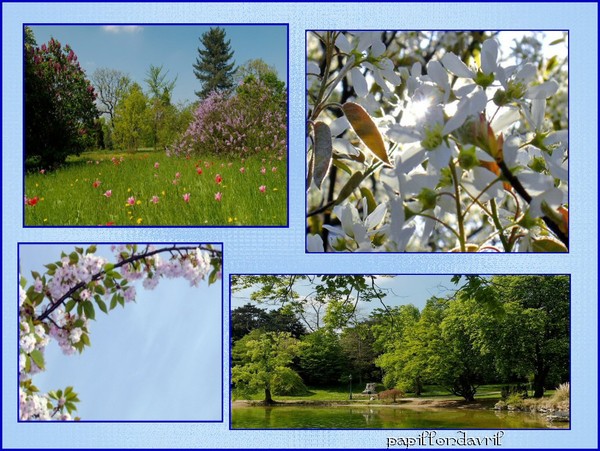 fond printemps