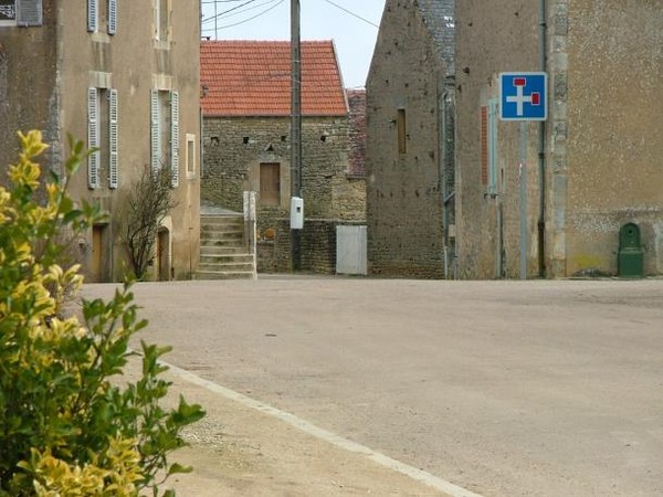 belles images