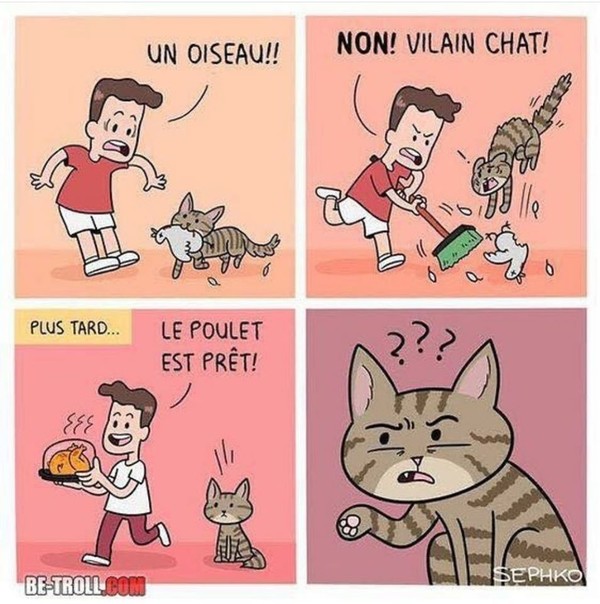 Bonjour