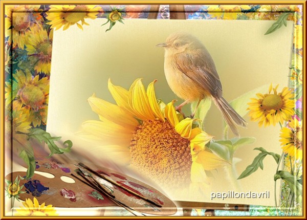 fond d écran, texture pour crea, 