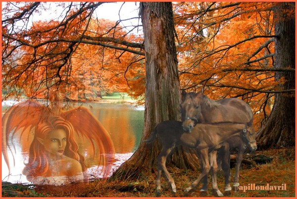 fonds d 'écran automne