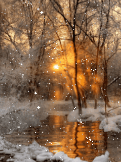 hiver