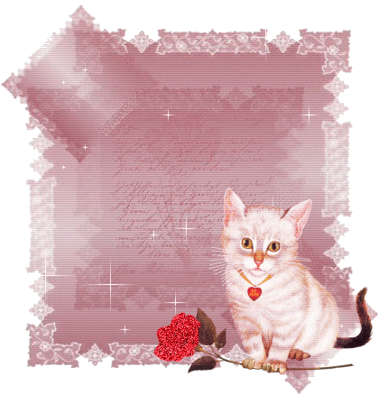 images scintillantes