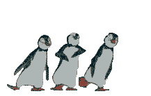 gifs phoques ortarie  pingouins