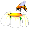 gifs abeilles