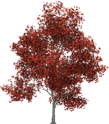 tubes arbres