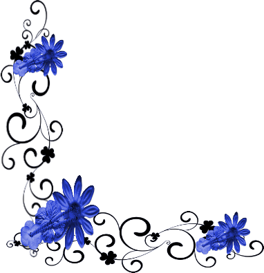 5915035d.png