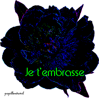 bonjour