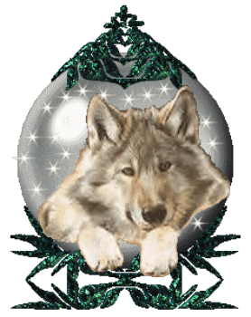 association Le Klan du Loup 6acc9094