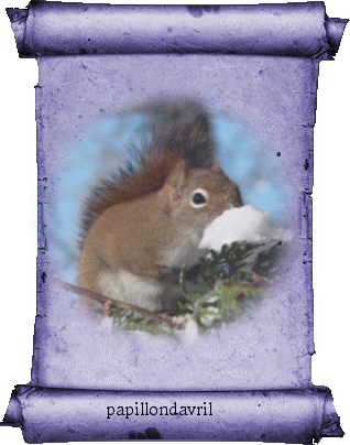 mes  tubes parchemins