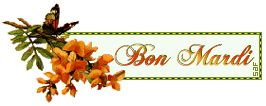 blinkies bonne journée 
