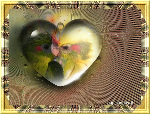 fond d écran, texture pour crea, 