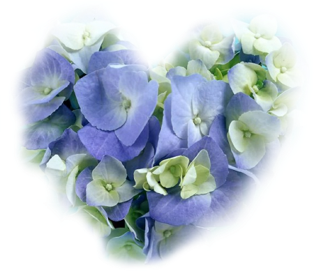 tubes fleurs