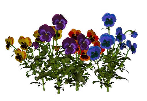tubes fleurs