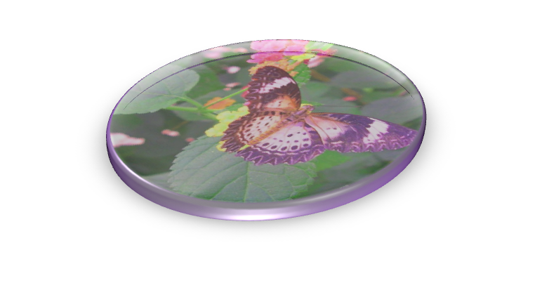 Image11-2_6.png