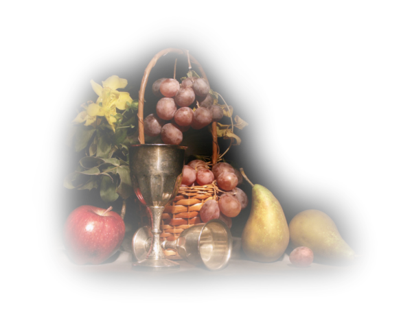 tubes fruits d hiver