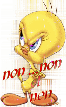 gifs titi et ro minet