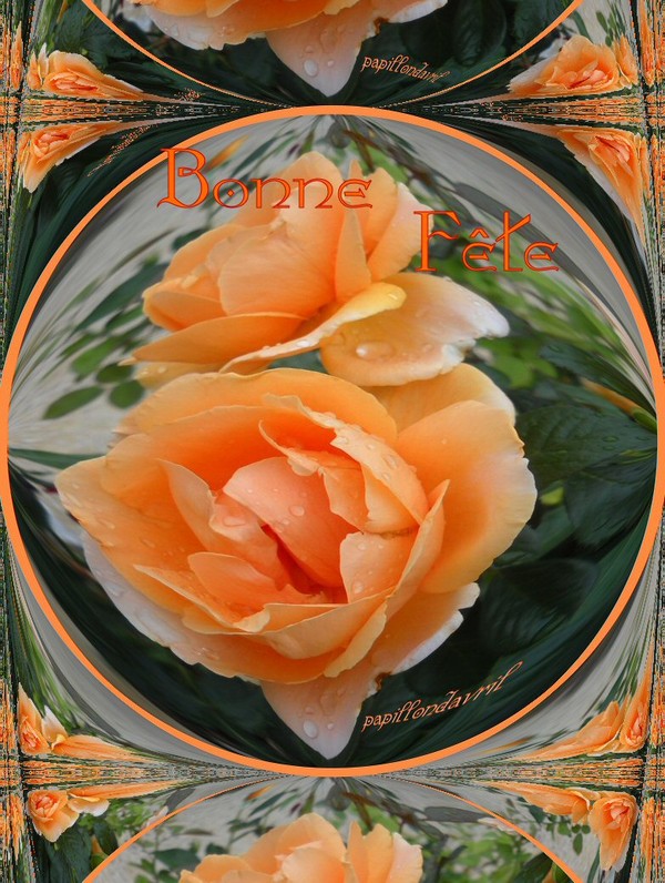 Bon Mercredi Cf70a081