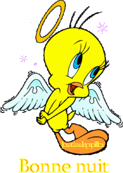 Bonne nuit