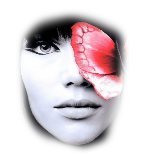 regard