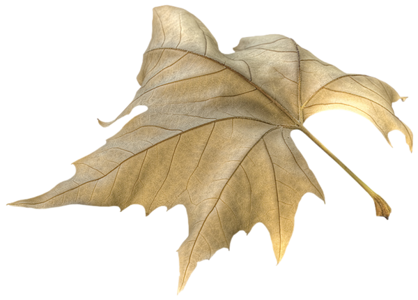 tubes feuilles