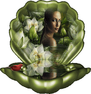 images scintillantes