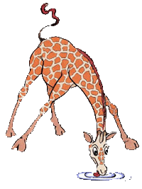 gifs girafes