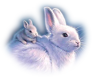 http://papillondavril.p.a.pic.centerblog.net/e97b119b.png