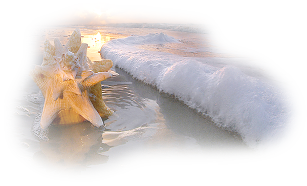 tubes vagues