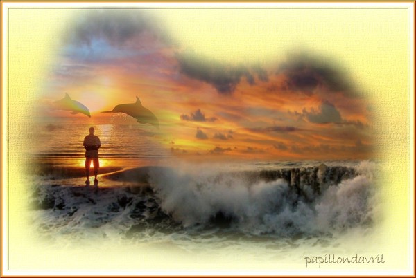 fond ecran coucher de soleil