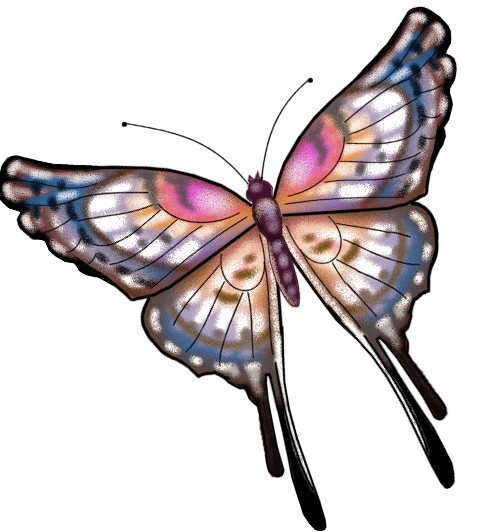 image clipart papillon gratuit - photo #5