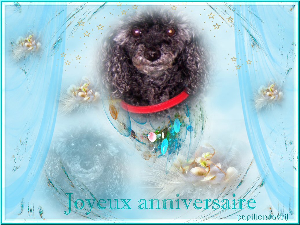 Joyeux Anniversaire